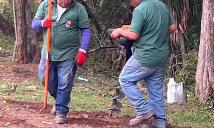 La Facultad de Ciencias impulsa un Santuario de Meliponas y un Hotel para Abejas.