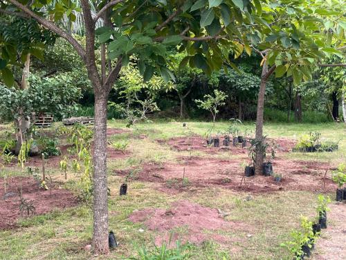 596649701 1449584213838960 9120737870045602918 n