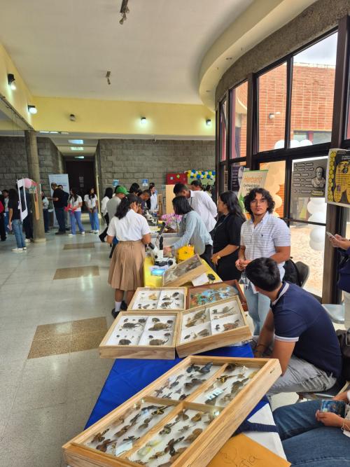 WhatsApp Image 2026 03 04 at 10.24.34 1