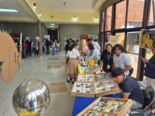 WhatsApp Image 2026 03 04 at 10.24.34 2