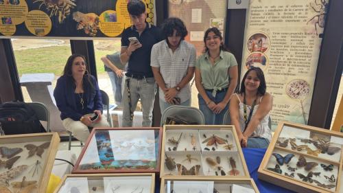 WhatsApp Image 2026 03 04 at 10.25.33