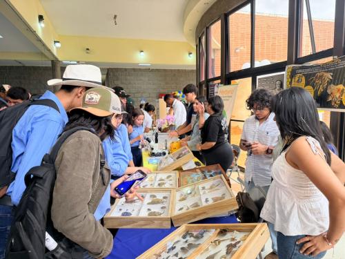 WhatsApp Image 2026 03 04 at 10.33.35 1