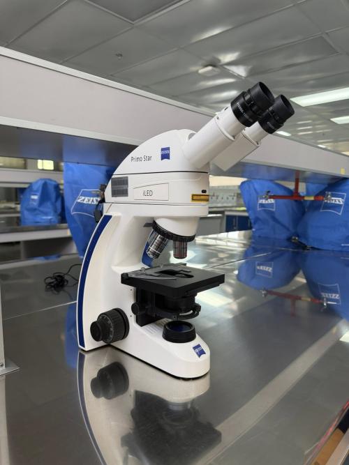 649443666 1248359284103947 4251426124720591654 n