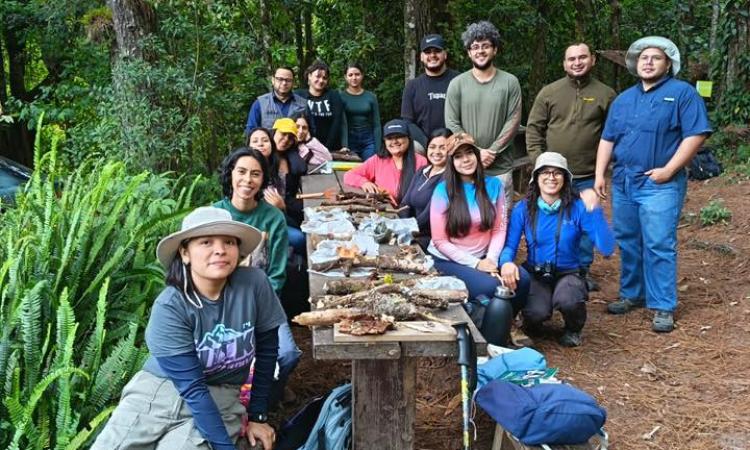 Gira de campo en acción