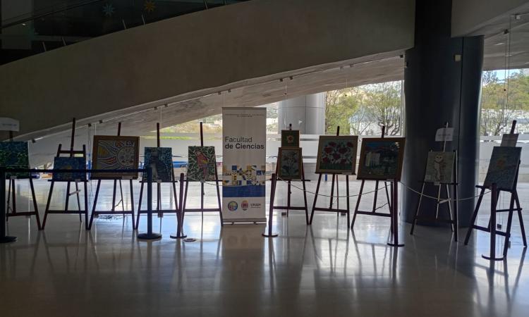 ¡La exposición continúa! 