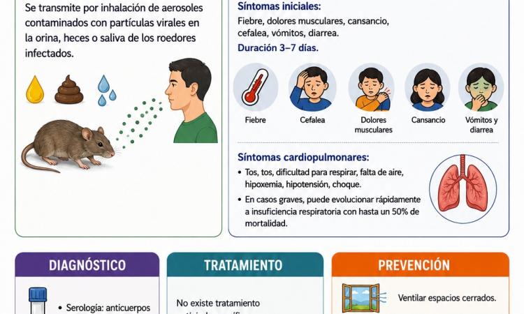 NOTA INFORMATIVA | Actual brote de Hantavirus Andes