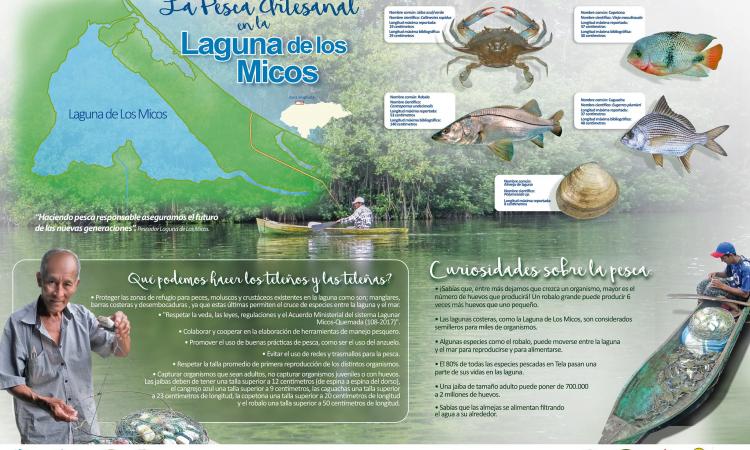 Proyecto “Elaboración de herramientas de conservación pesquera para la Bahía de Tela, Parque Nacional Blanca Jeannette Kawas y Parque Nacional Punta Izopo”.