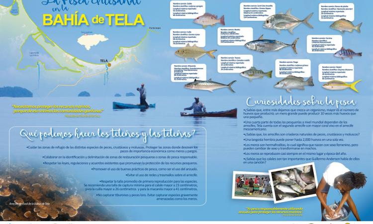 “Pesca Artesanal en la Bahía de Tela”.
