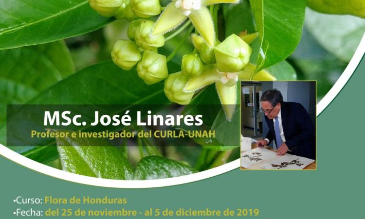 “Curso: Flora de Honduras”.