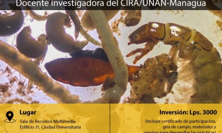 Curso “Métodos de Muestreo e Identificación Taxonómica de Macroinvertebrados Acuáticos”.