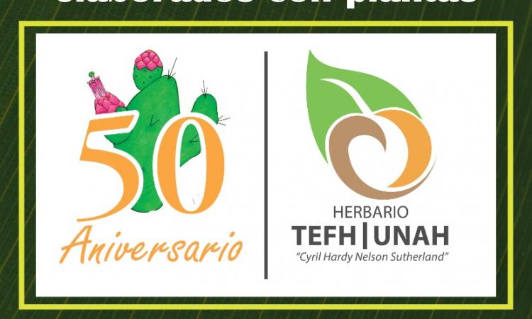  “II Feria de productos artesanales elaborados con plantas y 50 aniversario del Herbario”.