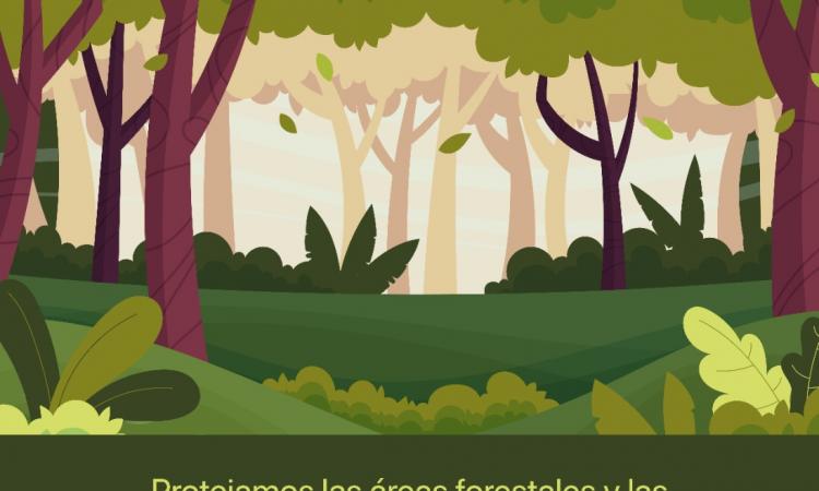 21 de marzo, Día Internacional de los Bosques.