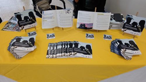 WhatsApp Image 2025 06 24 at 9.23.20 AM