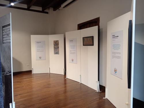 WhatsApp Image 2026 04 21 at 5.11.35 PM