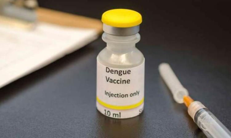 Comisión de la UNAH recomienda adquirir vacuna contra el dengue 
