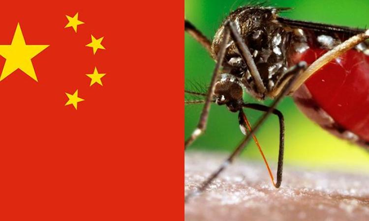 Estado de emergencia: Expertos en dengue procedentes de China vendrán a Honduras 