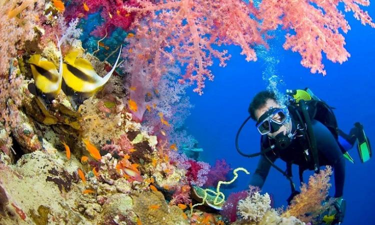 Conozca las carreras con las que contará la Facultad de Ciencias del Mar 