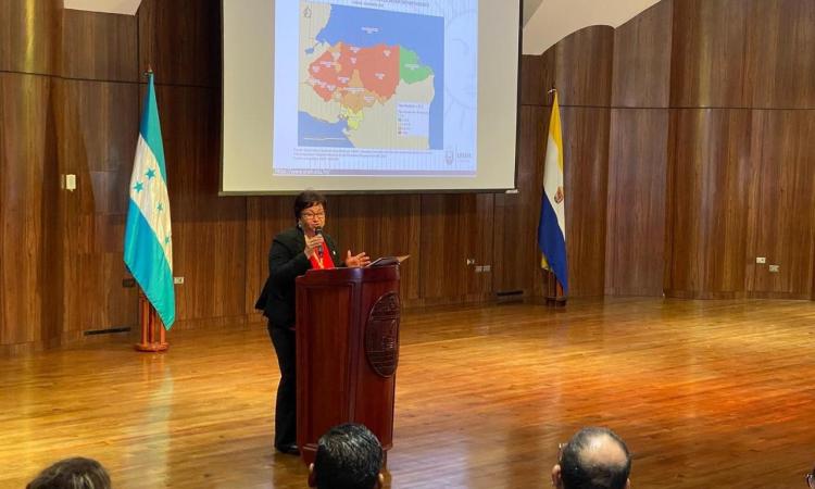 Violencia a la baja en Honduras: IUDPAS proyecta reducción de tasa para este 2024 