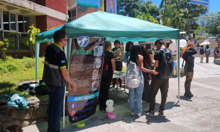 Realizan Feria de Voluntariado en la Plaza Cuatro Culturas de la UNAH