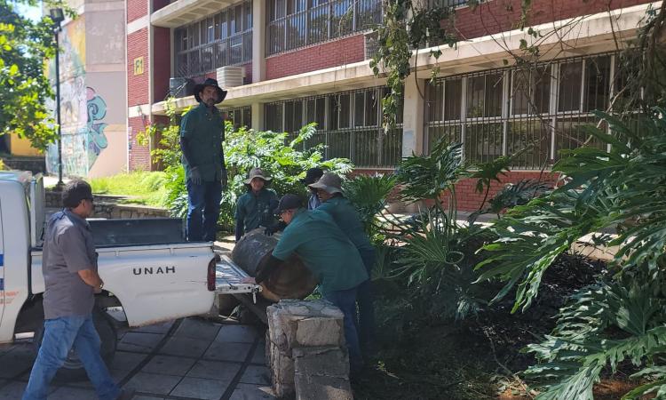 SEAPI y Servicios Generales de la UNAH mantienen libres de maleza las rampas de acceso en Ciudad Universitaria 