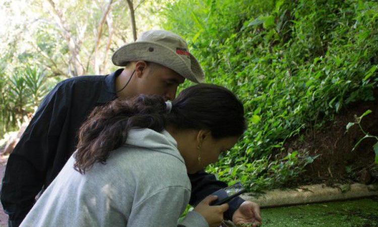 A partir de 2025 se empezará a impartir la Carrera de Biología en UNAH Campus Cortés 