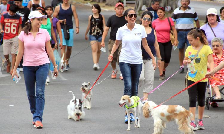 UNAH Campus El Paraíso invita a participar en Caminata por los Derechos de los Animales