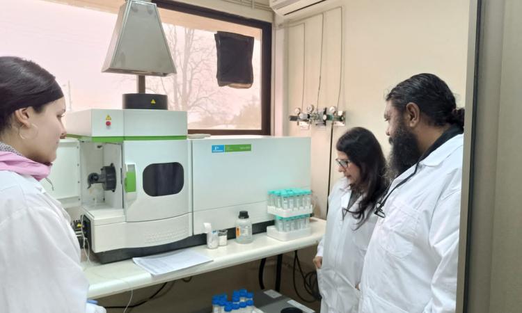 Conoce el grupo de investigadores premiados por Scopus de UNAH Campus El Paraíso 