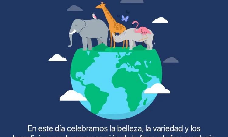 Día Mundial de la Vida Silvestre: Un llamado a valorar y conservar 