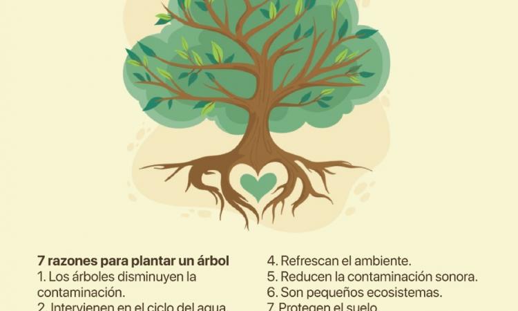 Día del Árbol: Plantar y cuidar un árbol es la mejor cosecha de conciencia 