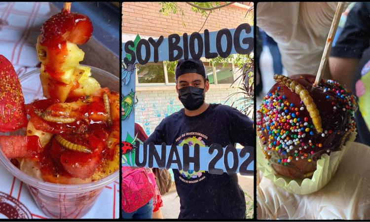 Escuela de Biología celebra Feria Gastronómica del Invertebrado