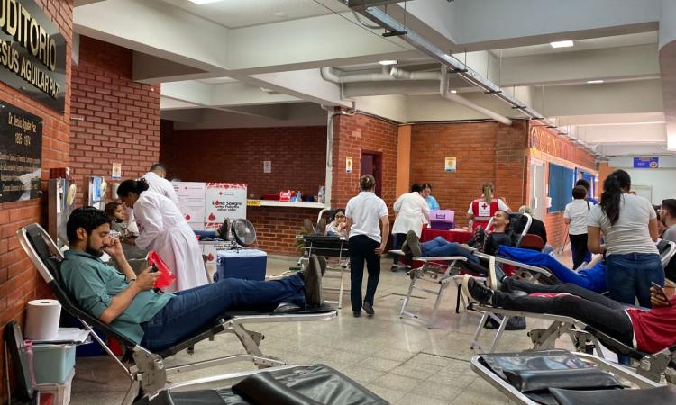 Facultad de Química y Farmacia y Cruz Roja desarrollan campaña de captación de sangre