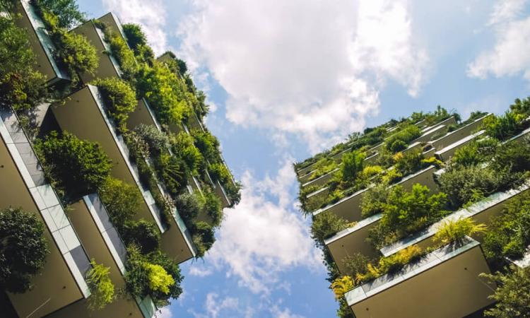 La UNAH ofertará Maestría en medio Ambiente y Arquitectura Bioclimática 