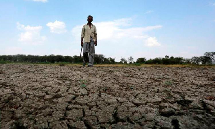 Una mirada científica a las sequías que afectarán a Honduras