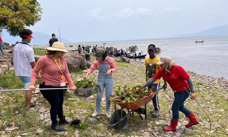 ¡Pumas al rescate del Lago de Yojoa! Más de 20,000 libras de lirio acuático y basura extrajeron estudiantes