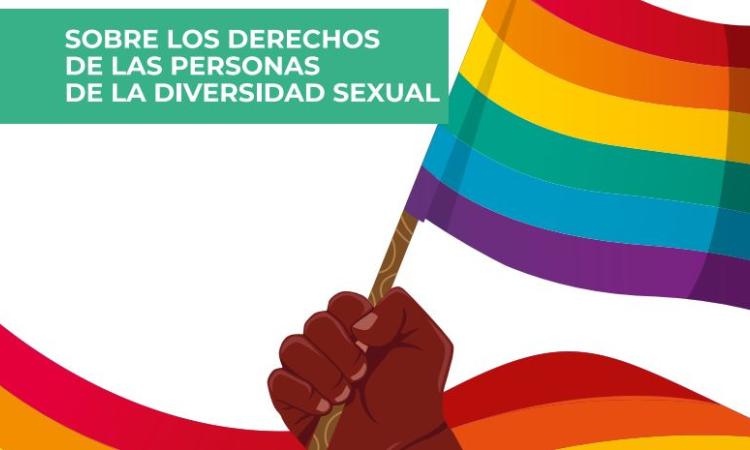  Los derechos de las personas de la diversidad sexual en Honduras  