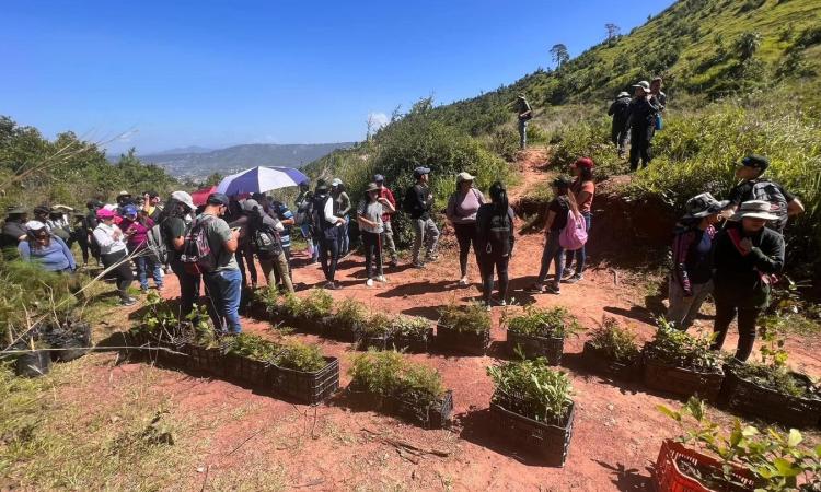 Los Pumas de la UNAH apoyan campaña de reforestación en la Montaña de Triquilapa