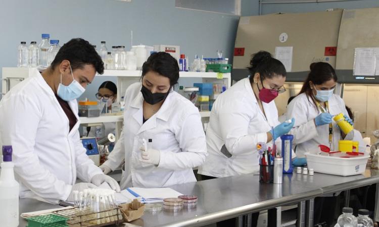 UNAH lanza licitación pública para equipamiento del Instituto de Investigaciones en Microbiología