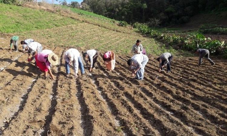 IIES sistematizará agricultura familiar y cambio climático en Honduras