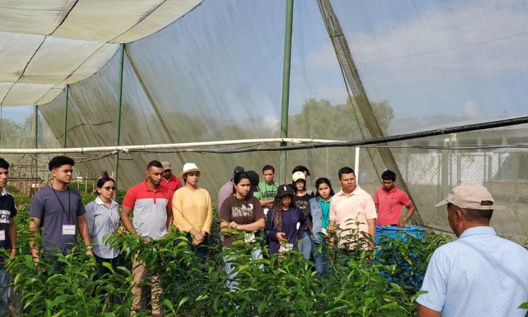 Estudiantes de la Carrera de Agroindustria realizan gira académica