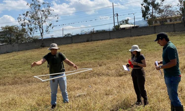 UNAH-TEC Danlí: Estudiantes de Ingeniería Agroindustrial realizan práctica de campo 