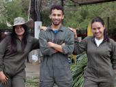 Enriquecedora práctica profesional realizan tres estudiantes de UNAH-CURLA en Colombia 