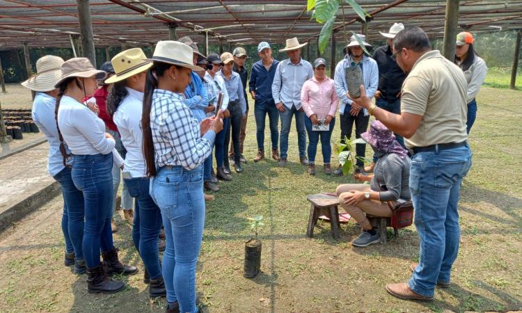 Estudiantes de UNAH-Tec Danlí realizan gira académica para conocer procesos agroindustriales