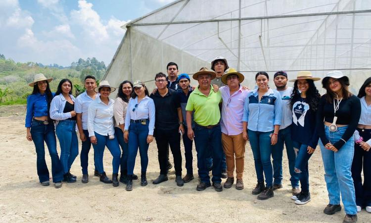 Estudiantes de UNAH-Tec Danlí exploran producción de plántulas de hortalizas