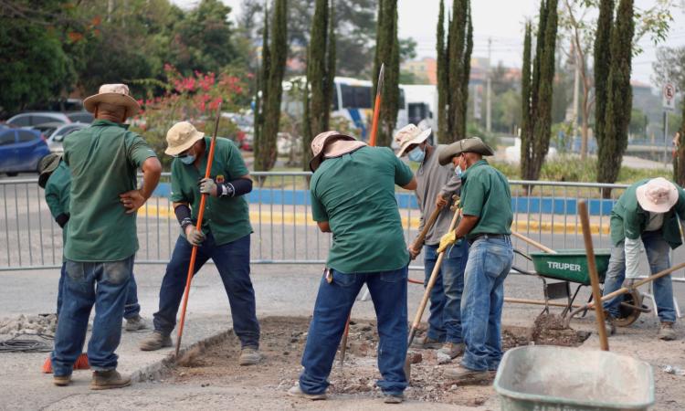 Inician trabajos de pavimentación y restauración de calles principales de Ciudad Universitaria 