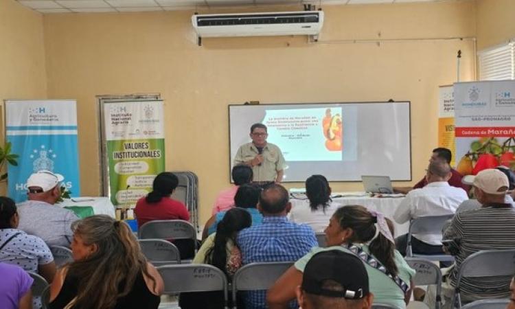 CURLP participa en expoferia con ponencia "Métodos de siembra del marañón"