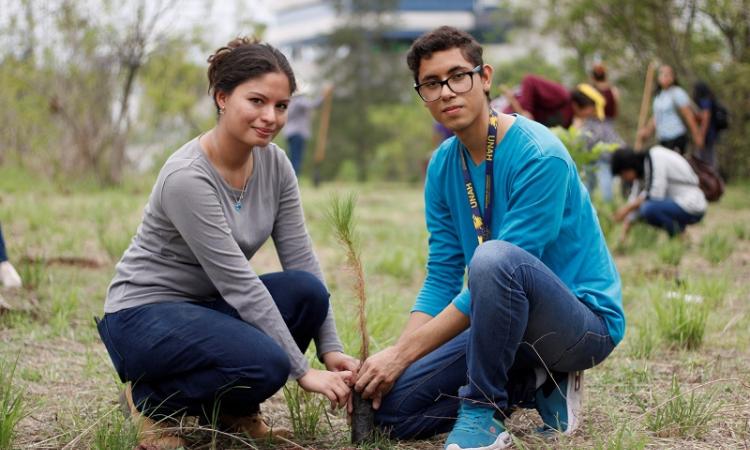 UNAH conmemorará Día del Árbol con reforestación en todos sus campus
