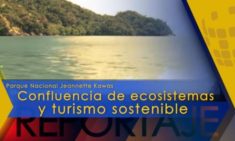 UTV: Confluencias de ecosistemas y turismo sostenible en Tela, Atlántida, Honduras