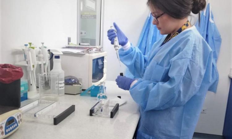El doctor Marco Tulio Medina resalta la importancia de realizar pruebas PCR