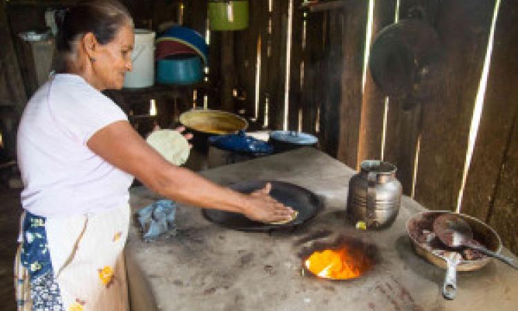 Pandemia impacta en alimentación del 62% de hogares de Francisco Morazán y El Paraíso