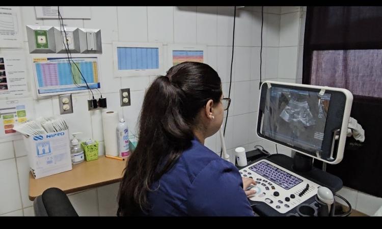 UNAH marca la diferencia: única universidad hondureña con acceso a REDCap